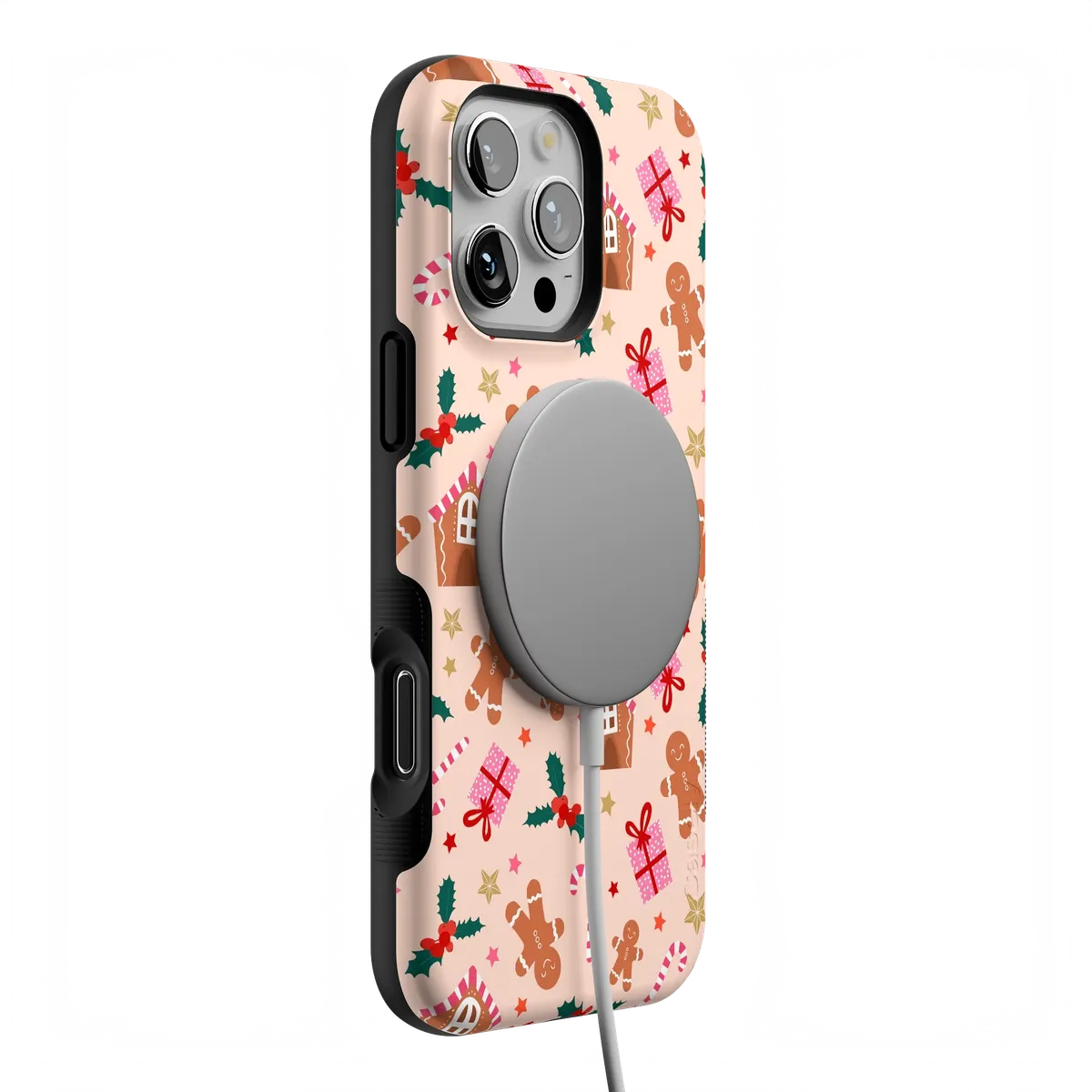 Frosted Wishes | Sweet Treat Case - Image 34