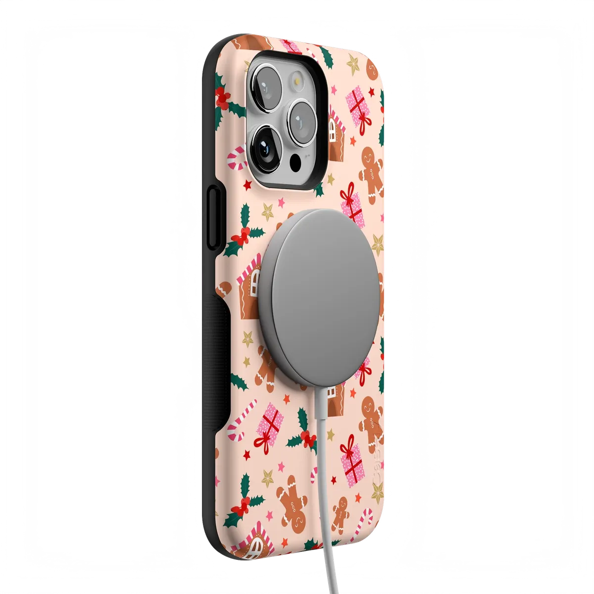 Frosted Wishes | Sweet Treat Case - Image 64
