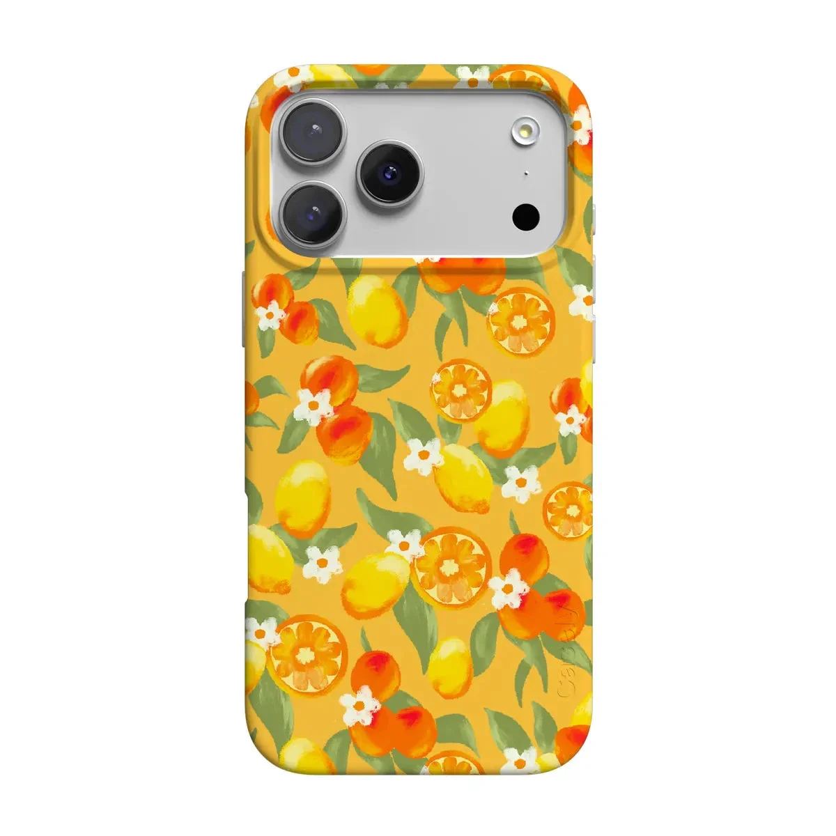 Positano | Dippin' Daisy's Italian Coast Case - Image 110