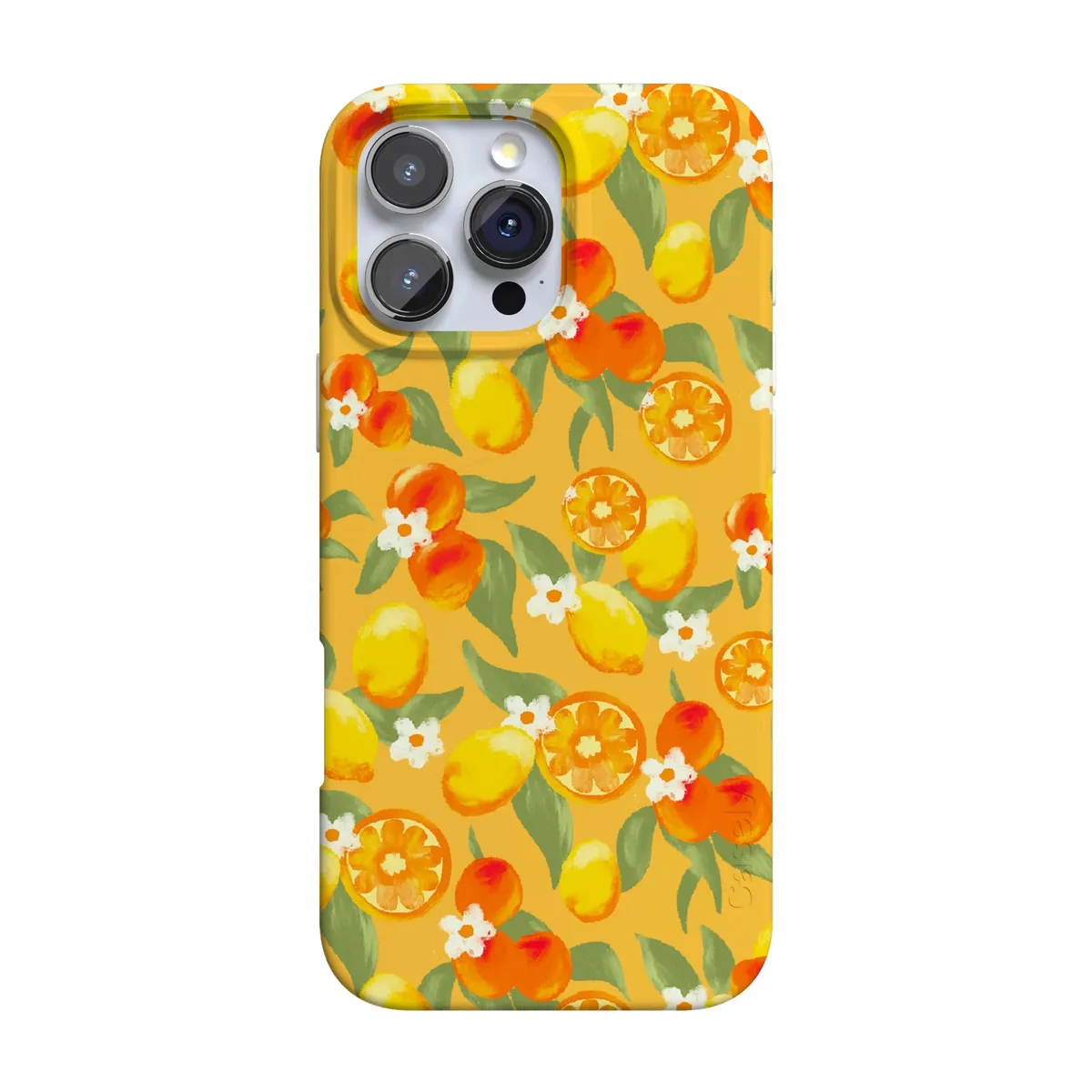 Positano | Dippin' Daisy's Italian Coast Case - Image 119