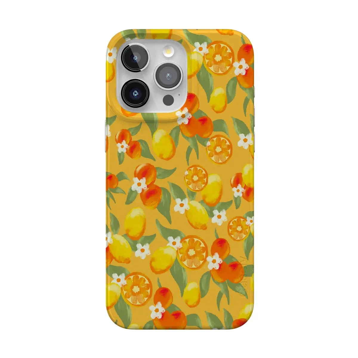 Positano | Dippin' Daisy's Italian Coast Case - Image 124