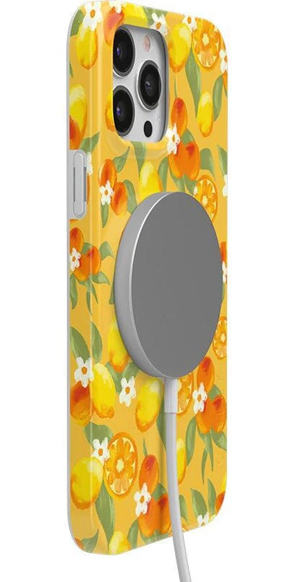 Positano | Dippin' Daisy's Italian Coast Case - Image 18