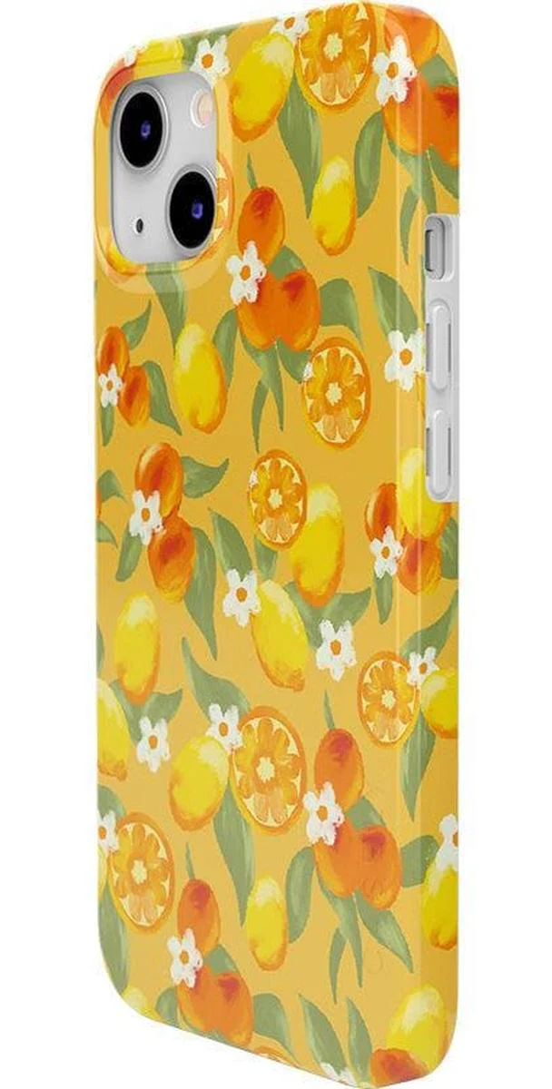 Positano | Dippin' Daisy's Italian Coast Case - Image 21