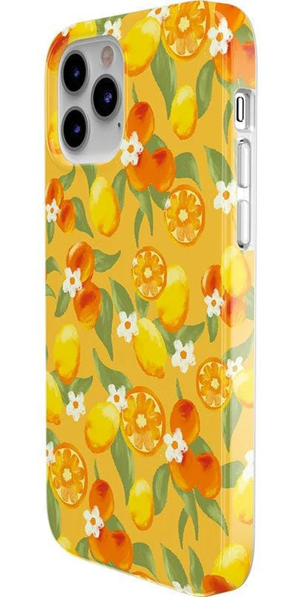 Positano | Dippin' Daisy's Italian Coast Case - Image 27