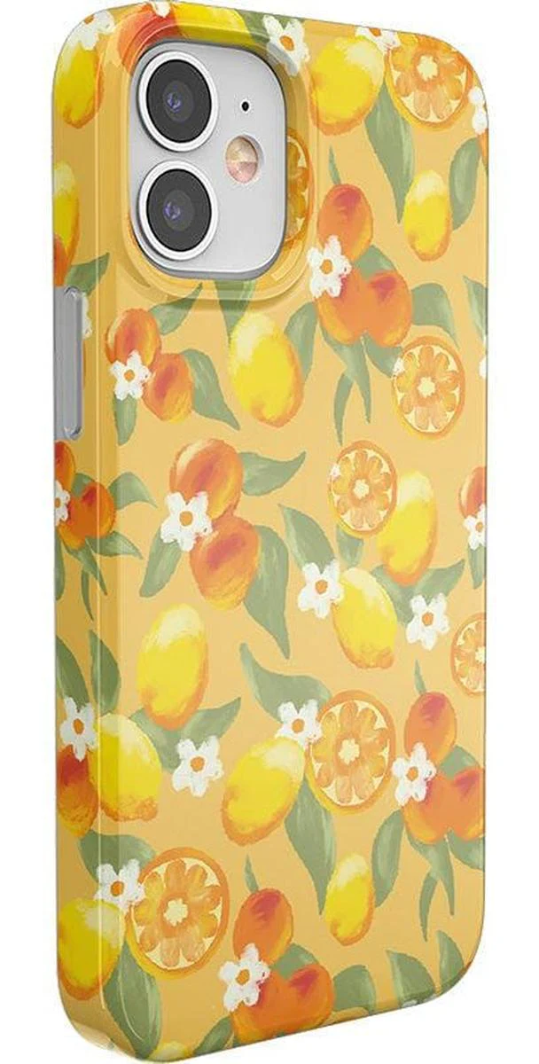 Positano | Dippin' Daisy's Italian Coast Case - Image 30