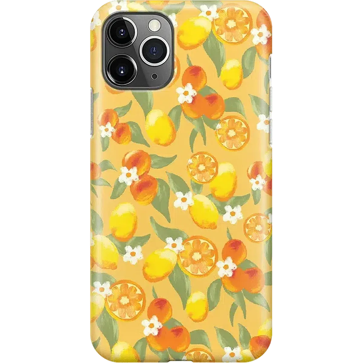 Positano | Dippin' Daisy's Italian Coast Case - Image 32