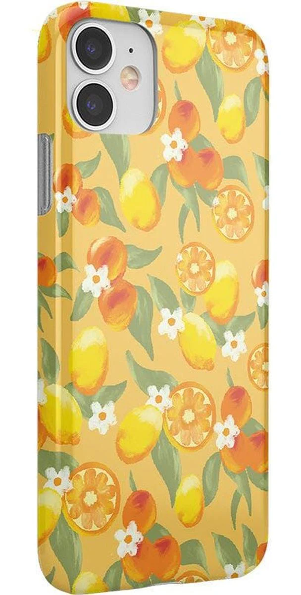 Positano | Dippin' Daisy's Italian Coast Case - Image 35