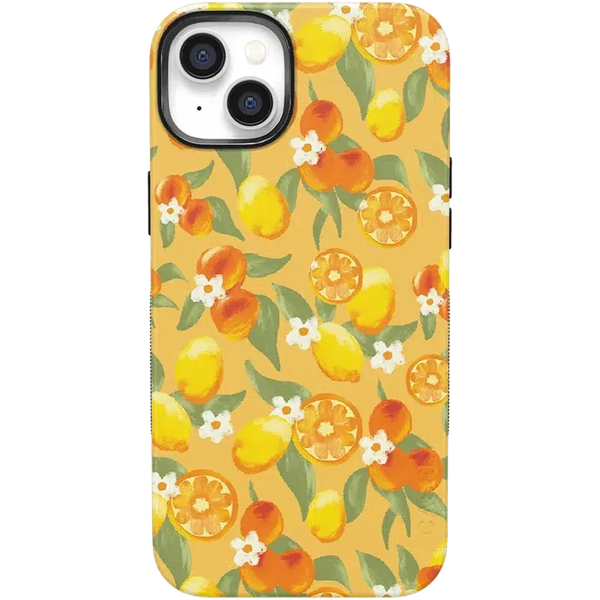 Positano | Dippin' Daisy's Italian Coast Case - Image 43