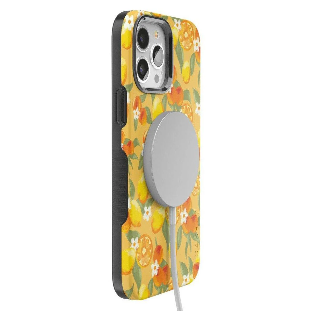Positano | Dippin' Daisy's Italian Coast Case - Image 49